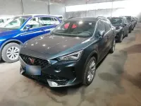 Używany Cupra Formentor 204 KM (150 kW) 2024 Szary SUV