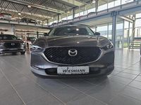 Neu Mazda CX-30 Homura-Line 140 PS (102 kW) 2025 SUV