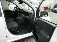Neu Fiat Panda 69 PS (50 kW) 2025 601 Kleinwagen