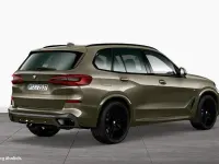 Gebraucht BMW X5 Performance 530 PS (389 kW) 2022 Grün SUV