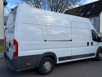 Gebraucht Fiat Ducato 177 PS (130 kW) 2017 Weiß Van