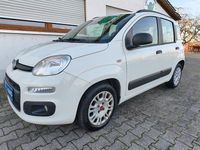 Gebraucht Fiat Panda Easy 69 PS (50 kW) 2015 Weiß Kleinwagen
