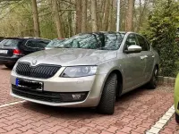 Gebraucht Skoda Octavia Elegance 140 PS (102 kW) 2014 Beige Kombi