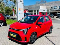 Gebraucht Kia Picanto Vision 63 PS (46 kW) 2024 Rot Kleinwagen