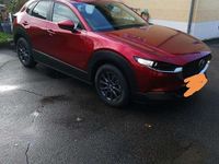 Neu Mazda CX-30 140 PS (102 kW) 2025 SUV