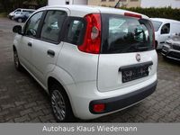 Gebraucht Fiat Panda Easy 69 PS (50 kW) 2017 Weiß Kleinwagen