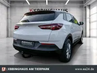 Gebraucht Opel Grandland X Selection 131 PS (96 kW) 2020 Weiss SUV