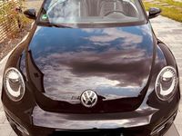 gebraucht VW Beetle Design BMT/Start-Stopp TOP Rarität