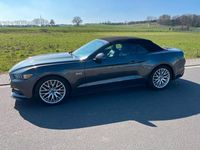 Gebraucht Ford Mustang GT 421 PS (309 kW) 2016 Grau Cabrio