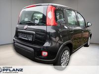 Neu Fiat Grande Panda 69 PS (50 kW) 2025 Schwarz Kleinwagen