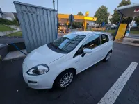 Gebraucht Fiat Punto 69 PS (50 kW) 2014 Weiß Kleinwagen