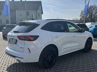 Gebraucht Ford Kuga ST-Line X 242 PS (177 kW) 2026 Weiß SUV