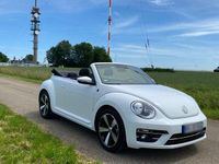 Gebraucht VW Beetle Sound 105 PS (77 kW) 2018 Weiß Kleinwagen