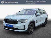 Gebraucht Skoda Kodiaq Selection 150 PS (110 kW) 2025 Weiß SUV