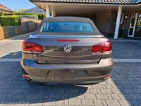 Gebraucht VW Golf Cabriolet 105 PS (77 kW) 2014 Braun Cabrio