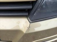 Gebraucht Opel Astra 105 PS (77 kW) 2004 Gold Kleinwagen