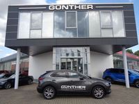 Gebraucht Mazda CX-30 Selection 122 PS (89 kW) 2020 Machine grey SUV