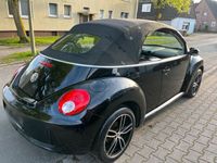 gebraucht VW Beetle newCabrio