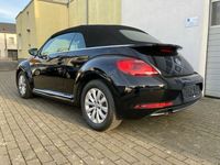 gebraucht VW Beetle Cabriolet 1.2 Design BMT/Start-Stopp