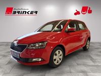 gebraucht Skoda Fabia Active 1.0 MPI EU6d-T