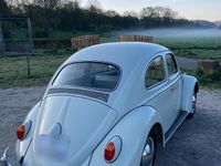 Gebraucht VW Käfer 34 PS (25 kW) 1963 Weiß Limousine