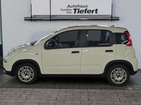 Gebraucht Fiat Panda 69 PS (50 kW) 2023 Gelato weiss Kleinwagen