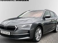 Gebraucht Skoda Octavia Selection 150 PS (110 kW) 2024 Grau Kombi