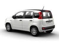 Gebraucht Fiat Panda 70 PS (51 kW) 2024 Kleinwagen
