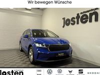 Gebraucht Skoda Enyaq iV Loft 108 kW (148 PS) 2023 Blau SUV