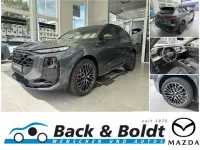 Gebraucht Audi Q3 S-Line 265 PS (194 kW) 2026 Grau SUV