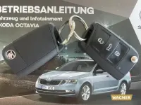 Gebraucht Skoda Octavia Soleil 116 PS (85 kW) 2019 Beige Kombi