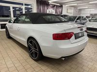 Gebraucht Audi A5 Cabriolet Comfort 204 PS (150 kW) 2014 Weiß Cabrio