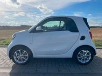 gebraucht Smart ForTwo Electric Drive forTwo 2x EQ* drive*passion*panoramad