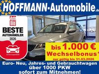 Gebraucht Skoda Karoq Ambition 116 PS (85 kW) 2020 Graumet. SUV