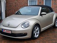 Gebraucht VW Beetle Cabriolet 170 PS (125 kW) 2015 Beige Cabrio
