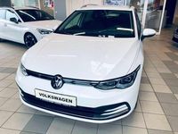 Gebraucht VW Golf VIII Life 150 PS (110 kW) 2023 Oryxweiß perlmutteffekt Kombi