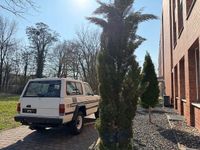 Gebraucht Nissan Patrol 121 PS (88 kW) 1983 Weiß SUV