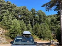 Gebraucht VW Multivan Edition 150 PS (110 kW) 2024 Grau Van