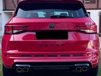Gebraucht Cupra Ateca 300 PS (220 kW) 2020 Rot SUV