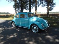 Gebraucht VW Käfer 34 PS (25 kW) 1963 Grün Limousine