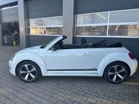 Gebraucht VW Beetle CLUB 105 PS (77 kW) 2015 Weiß Kleinwagen