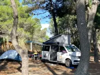Używany VW Transporter Beach 199 KM (146 kW) 2019 Biały Van