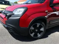 Neu Fiat Panda Cross Cross 65 PS (47 kW) 2026 Passione rot passione rot Kleinwagen