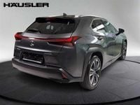 Gebraucht Lexus UX 2023 Grau SUV