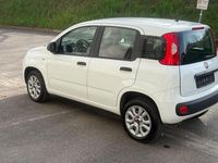 Gebraucht Fiat Panda Lounge 86 PS (63 kW) 2016 Weiß Kleinwagen