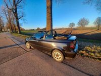 gebraucht VW Golf Cabriolet 1.8 Trendline Trendline