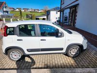 Gebraucht Fiat Panda 69 PS (50 kW) 2023 Weiß Kleinwagen