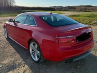 Gebraucht Audi S5 Basis 354 PS (260 kW) 2008 Rot Coupé