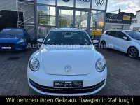 Gebraucht VW Beetle Design 105 PS (77 kW) 2015 Weiß Kleinwagen