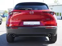 Gebraucht Mazda CX-30 Exclusive-Line 150 PS (110 kW) 2024 Rot SUV